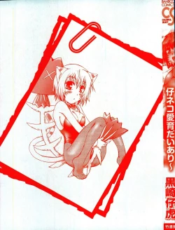 Page 3 of Koneko Aiiku Diary