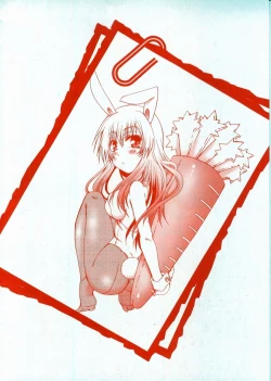 Page 4 of Koneko Aiiku Diary