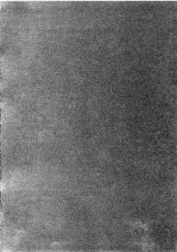 Page 16 of HIGHRISK OF THE DEAD