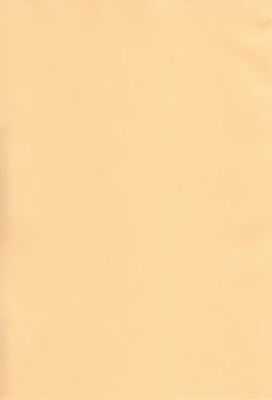 Page 4 of Chicken Maid Party