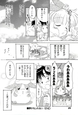 Page 29 of yume kamo shirenai