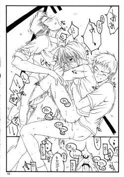 Page 17 of (C63) [THE FLYERS (Naruse Mamoru)] -Extra- (With You ~Mitsumete Itai~)