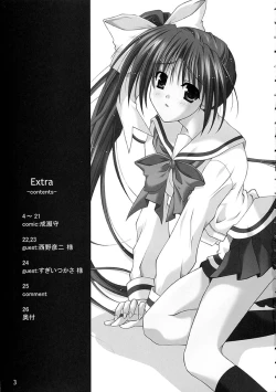 Page 2 of (C63) [THE FLYERS (Naruse Mamoru)] -Extra- (With You ~Mitsumete Itai~)