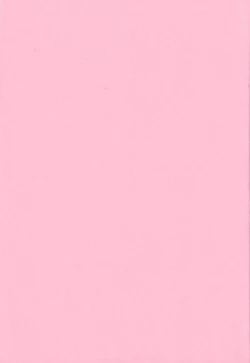 Page 2 of Ichigo Houjun Musume 100%