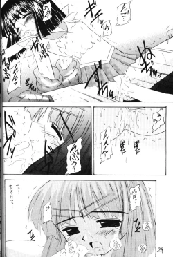 Page 23 of Hotaru VI