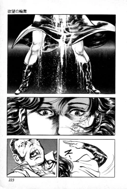 Page 227 of Yokubou no Rinbu | Dance of Desire