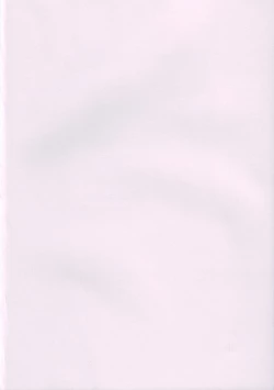 Page 4 of Shin Hanajuuryoku 10