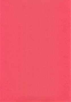 Page 2 of Tsuya Miko☆Reimu-san