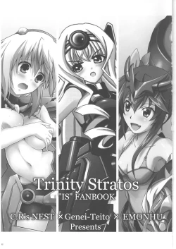 Page 3 of Trinity Stratos