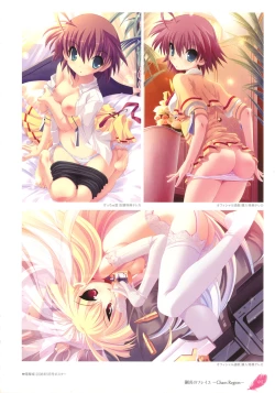 Page 14 of The collection of Tsurugi Hagane pictures Exhibition at Walhalla