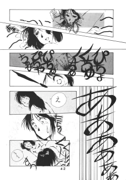 Page 43 of PAPIIT Vol.2