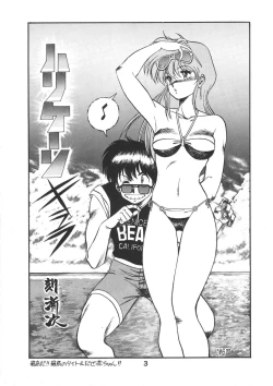 Page 4 of PAPIIT Vol.2