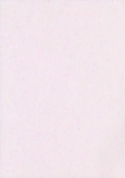 Page 2 of Torotoro Kasen