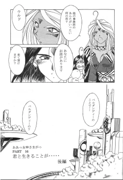 Page 6 of MIDGARD 9.5