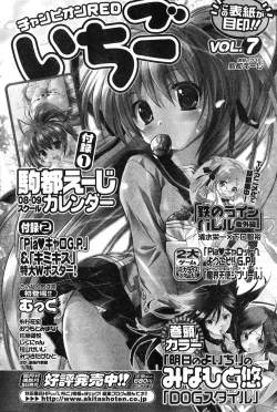 Page 245 of Young Champion Retsu Vol.12