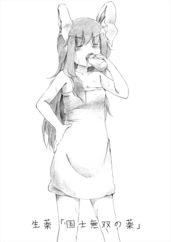 Page 19 of Touhou Nyuuyokufu