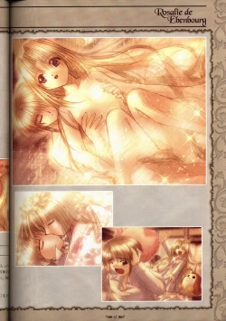 Page 72 of Wind of Ebenbourg 公式設定資料集