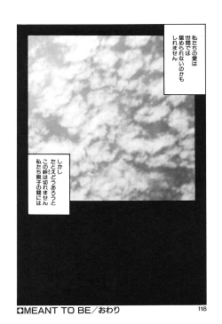 Page 119 of MEANT TO BE