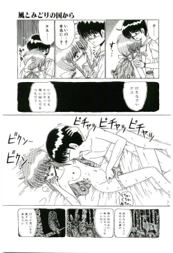 Page 14 of Kaze to Midori no Kuni kara