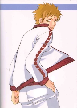 Page 29 of Chakushin Call