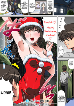 [Selene (Rudoni)] Seiya no Negaigoto | A Wish on Christmas Eve (Amagami) [English] =LWB=