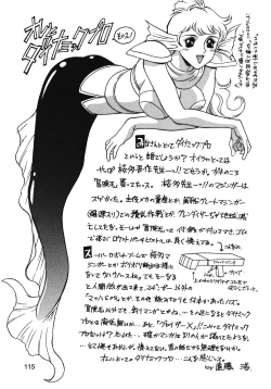 Page 114 of Chousen Ame Ver.13