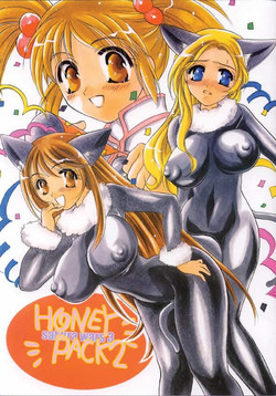 Download HONEY PACK 2