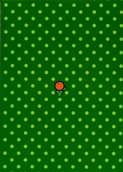 Page 22 of BERRYS 508