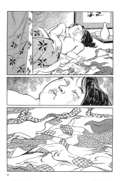 Page 12 of Hanzou no Mon Vol.3