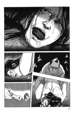 Page 29 of Hanzou no Mon Vol.3