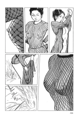 Page 209 of Hanzou no Mon Vol.5