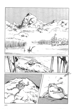 Page 248 of Hanzou no Mon Vol.5