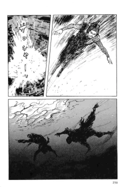 Page 253 of Hanzou no Mon Vol.6