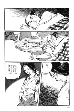 Page 249 of Hanzou no Mon Vol.7