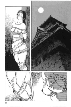 Page 28 of Hanzou no Mon Vol.8