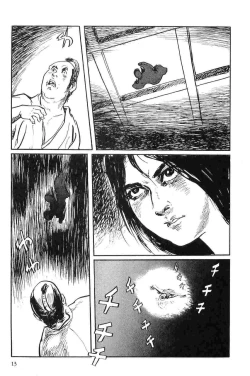 Page 16 of Hanzou no Mon Vol.10