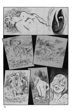 Page 52 of Hanzou no Mon Vol.10