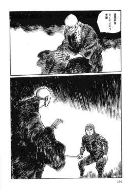 Page 249 of Hanzou no Mon Vol.12