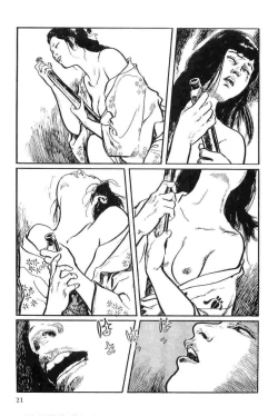 Page 24 of Hanzou no Mon Vol.12