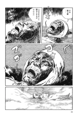 Page 17 of Hanzou no Mon Vol.13