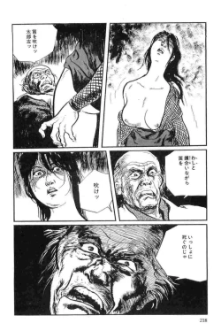 Page 221 of Hanzou no Mon Vol.13