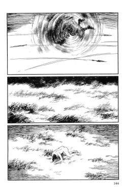 Page 247 of Hanzou no Mon Vol.13