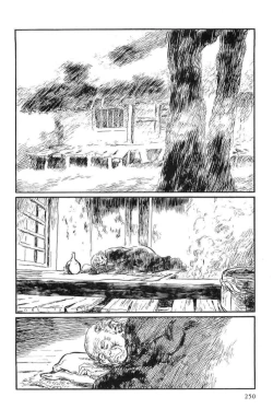 Page 253 of Hanzou no Mon Vol.13