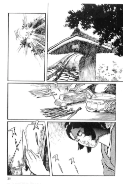 Page 28 of Hanzou no Mon Vol.13