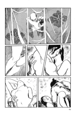 Page 47 of Hanzou no Mon Vol.13