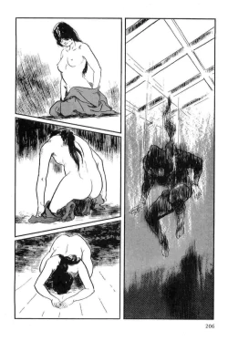 Page 209 of Hanzou no Mon Vol.14