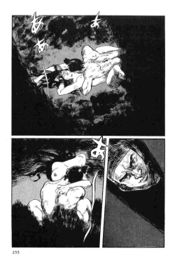 Page 258 of Hanzou no Mon Vol.14