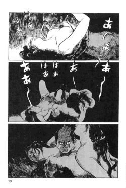 Page 102 of Hanzou no Mon Vol.15