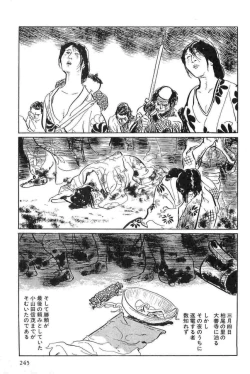 Page 248 of Hanzou no Mon Vol.15