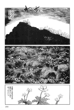 Page 256 of Hanzou no Mon Vol.15